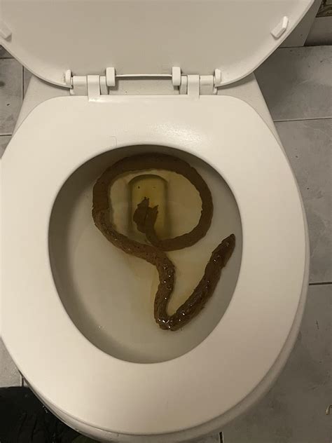 Huge poop .